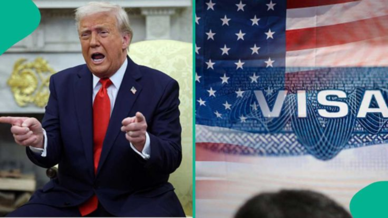 Trump Administration Seeks Structural Changes to H-1B Visa Allocation H-1B Visa Allocation