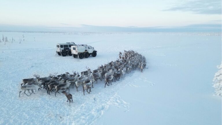 Denmark bolsters Greenland defenses