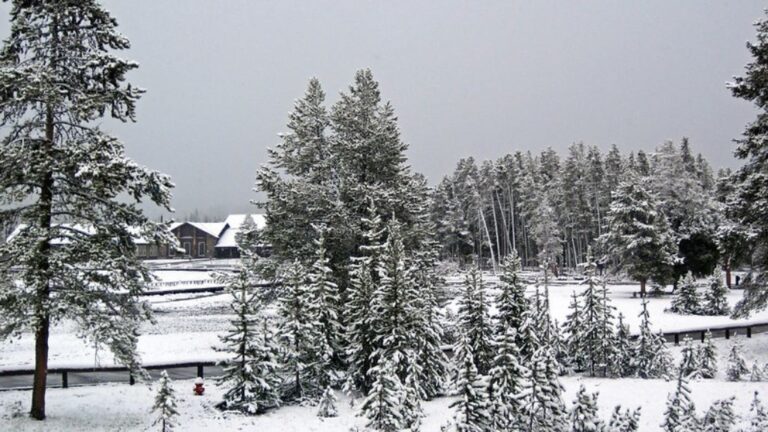 Massive Winter Storm Hits US, Flights Cancelled and Power Out in Several States US winter storm